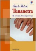 Seluk - Beluk Tunanetra dan Strategi  Pembelajarannya